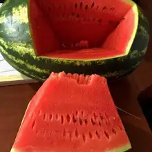 Пламя F1 Karpuz Tohumu 1000 Adet