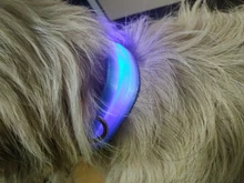 USB Rechargable Dog LED Flashing Collar Pet Cat Luminous Collar Glowing Necklace Outdoor