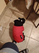 Jacket French Bulldog Dog Winter SUPREPET Coat Pet-Dog Dogs Large Cotton for Warm Perro