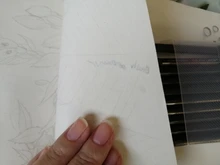 Set de bolígrafos de punta fina de tinta negra, juego de 10 bolígrafos de 0.05, 0.1, 0.2, 0.3 y 0.4 para caligrafía y dibujo