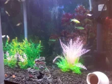 Grass-Decoration Aquarium-Decor Plant Fish-Tank Artificial-Plants Simulation Water-Weeds-Ornament