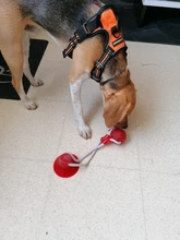 Juguetes para mascotas con copa de succión perro juguete con bola goma termoplástica para limpieza de perro juguetes para perros pequeños, perro de juguete