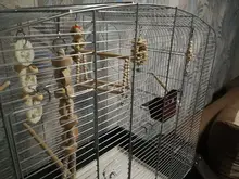 Bird-Toys Accessories Perch-Stand Cockatiel Budgie Parkiet Vogelspeelgoed 7pcs Jouet