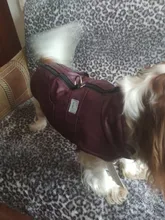 Jacket Vest Puppy-Clothing Pug-Coat Small Dogs Chihuahua Waterproof Winter Teddy Pet-Dog