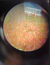 Binoculares potentes de 40x22HD, telescopio Monocular plegable de larga distancia de 2KM para caza, Camping, viaje y al aire libre