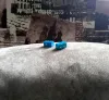 Изображение товара 4