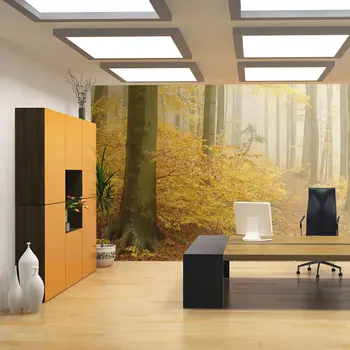 

Wall mural-forest-autumn-350x270 cm