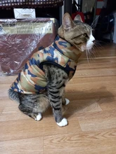 Puppy Outfit Vest Coat Dog-Jacket Pets Padded-Chihuahua Apparel-20 Small-Dogs Warm Winter