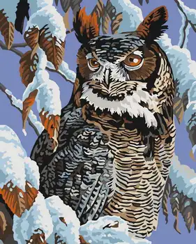 

Drawing on wood by numbers (20 color) 30x40 cm "owl and snow" Red Cat awd3006
