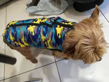 Puppy-Clothes Dog-Jacket Small Chihuahua Waterproof Winter Camo-Pattern Petshop Perro