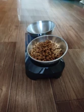 Double-Bowls Fresh-Nano Pets-Feeding Stainless-Steel PETKIT New for Pet-Cat Adjustable