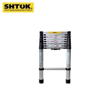 20012 Лестница телескопическая 2.6м(без чехла