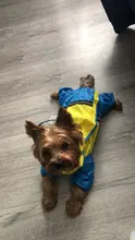 Jumpsuit Raincoat Pet-Cloak Teddy Waterproof-Jacket HOOPET Dogs Chihuahua for Small Cat