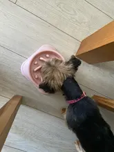 Dish Food-Bowls Eating-Feeder Puppy Bowel Feeding Slow-Down Dogs-Supplies Prevent Pet-Dog