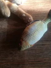 Cheap Pet Products Fish Toy Cat Scratch Board Scratching Post Catnip toys for Cat Pet