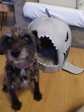 Dog House Shark Washable House Pet Bed Shark Dog Bed Cat Beds & Mats House Sleeping Sofa