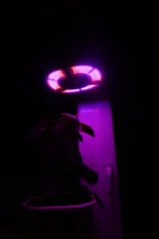 Indoor E27 Led 400W Grow Light Panel Full Spectrum Phyto Lamp For Flowers E26 Lamp For