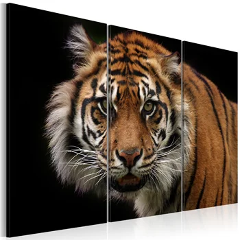 

Table-Tiger predator-120x80