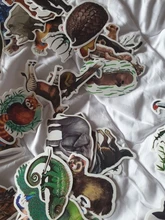 Pegatinas de animales de la selva tropical para ordenador portátil, botella de agua, bicicleta, monopatín, impermeable, pegatina para maleta, paquete de Anime, juguetes geniales