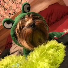 Dog Winter Warm Clothes Cute Plush Coat Hoodies for bulldog Pet Costume Jacket