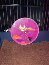 Girar Juguetes Para loros y mascotas ruedas mordida de aves de comida caja de comida alimentador de jaula juguete loro de alimentador dispositivo juguetes ruedas