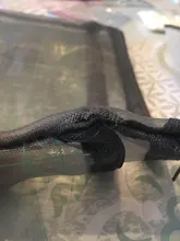 Kawaii-carpeta de archivos ostentosa de 2 capas, organizador de papel, bolsa de almacenaje de cuaderno, papelería escolar, A5 B6, 1 ud.