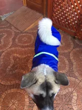 Jacket Raincoats Puppy-Clothes Pets Reflective Dog Small Waterproof Outdoor Large Breathable