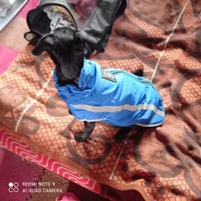 MySudui Medium Big Dog Winter Clothes For Dogs Pets Clothing Reflective Dog Jackets Outdoor