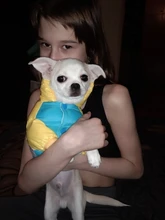 Outfit Jacket Hoodie Dog Warm Waterproof Winter Coat Splice Pet-Puppy 6-Colours 8-Sizes