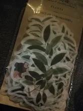 Diario Vintage decorativo, 60 hojas/paquete, diario dorado, Calaveras, flores, pegatinas de plantas, álbum de recortes, papelería de escamas