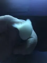 Foundation-Brush Makeup-Brushes Bb-Cream Cosmetics Beauty-Tool Blending Base-Stippling