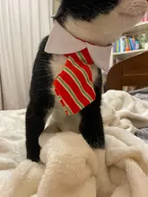 Pet Dog Cat Costume Christmas Antlers Hat Cloak Halloween Disguise Clothes For Cats Small