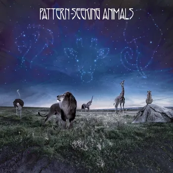 

Pattern-seeking animals/pattern-seeking animals (2LP + CD)
