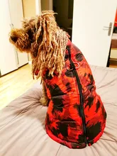 Ropa de invierno para Perros Bulldog Francés, abrigo cálido, atuendo con chaleco para perros pequeños, medianos y grandes