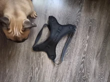 Medium Large Dog Harness Nylon Reflective Collar Vest Harnesses For Dogs Training Husky