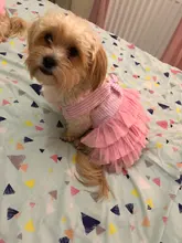 Dress Sling Puppy-Costume Pet-Dog Lace Small Dog Wedding for Party Birthday Bowknot