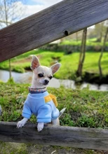 Overalls Sweaters Jacket Pet-Costume Yorkies Dogs Coat Small 
