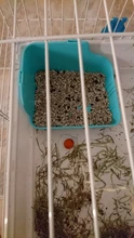 Baño de conejillo de indias con forma cuadrada, Animal PEQUEÑO para mascotas, conejo, Chinchilla, conejillo de indias