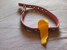 Collar reflectivo para perro, personalizado, de cuero, acolchado, para perros pequeños, medianos, Chihuahua, Yorkie