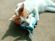 Muñeco eléctrico de peluche con forma de pez en movimiento para niños, juguete interactivo con carga USB para mascotas