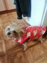 Ropa cálida para perros pequeños, abrigo para perros a prueba de viento, chaqueta acolchada, atuendo con chaleco, ropa para Chihuahua y Yorkshire 35