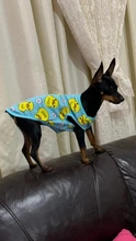 Ropa con estampado de patos para perros pequeños, Camiseta de algodón para cachorros y gatos, chaleco, camisas con perro Chihuahua