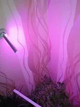 Grow-Lamp Sunlight Imitating Young-Plants Uv-Growing Full-Spectrum Indoor LED DC 5V 3W