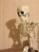 Skeleton-Model-Anatomy Car-Decoration Active Halloween Human Learning Spoof Medical