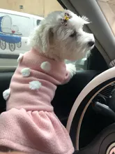 Dog-Dress Dogs-Skirt Yorkshires Chihuahau Winter Dot for Autumn