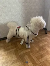 HOOPET-chubasquero para perro, mono impermeable para perros, abrigo para mascota, perro pequeño, gato, Chihuahua, chaqueta impermeable