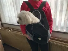 Papipet dog bag VIP link