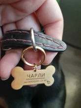 Tag-Collar Pet-Accessories Engraved Pendant-Bone Puppy Dog Pet-Id Customized Name-Number