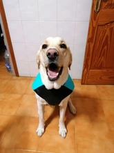 Chaleco impermeable para perros grandes y pequeños, abrigo cálido de invierno para cachorros, ropa para mascotas, 4XL, 5XL, nuevo