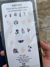 Diario Vintage decorativo, 60 hojas/paquete, diario dorado, Calaveras, flores, pegatinas de plantas, álbum de recortes, papelería de escamas